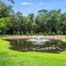 water fountain in a pond